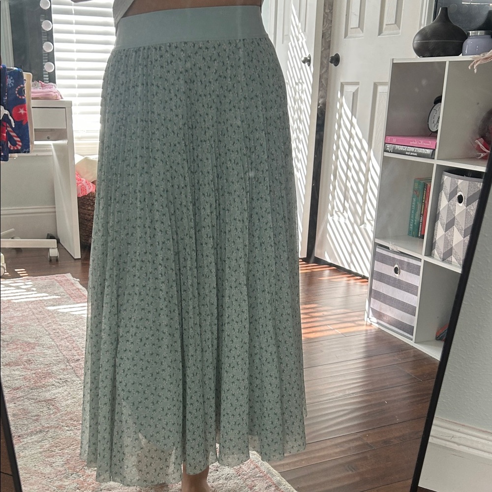 Aritzia: Mint Green Maxi Skirt